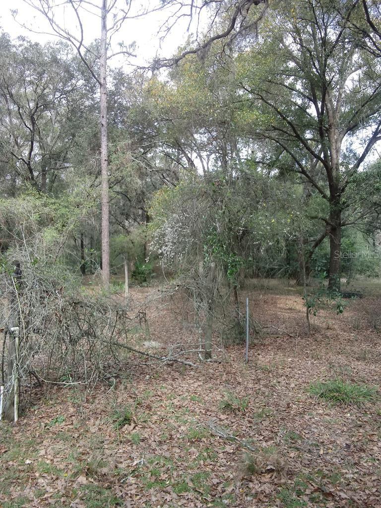 Image 53 of 56 For 2410 117th Pl