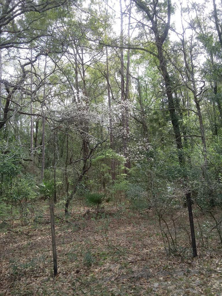 Image 55 of 56 For 2410 117th Pl