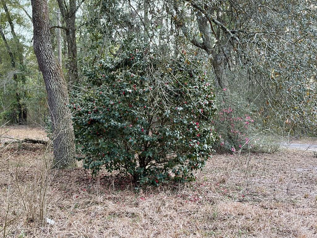 Image 56 of 56 For 2410 117th Pl