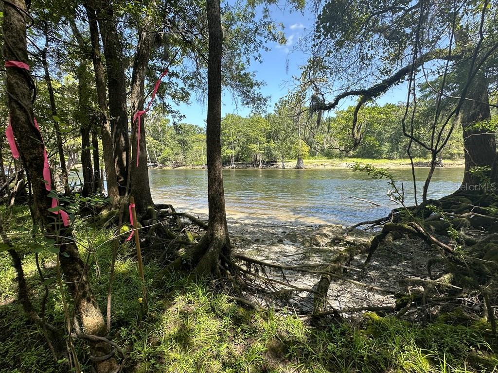 Image 6 of 56 For 2410 117th Pl