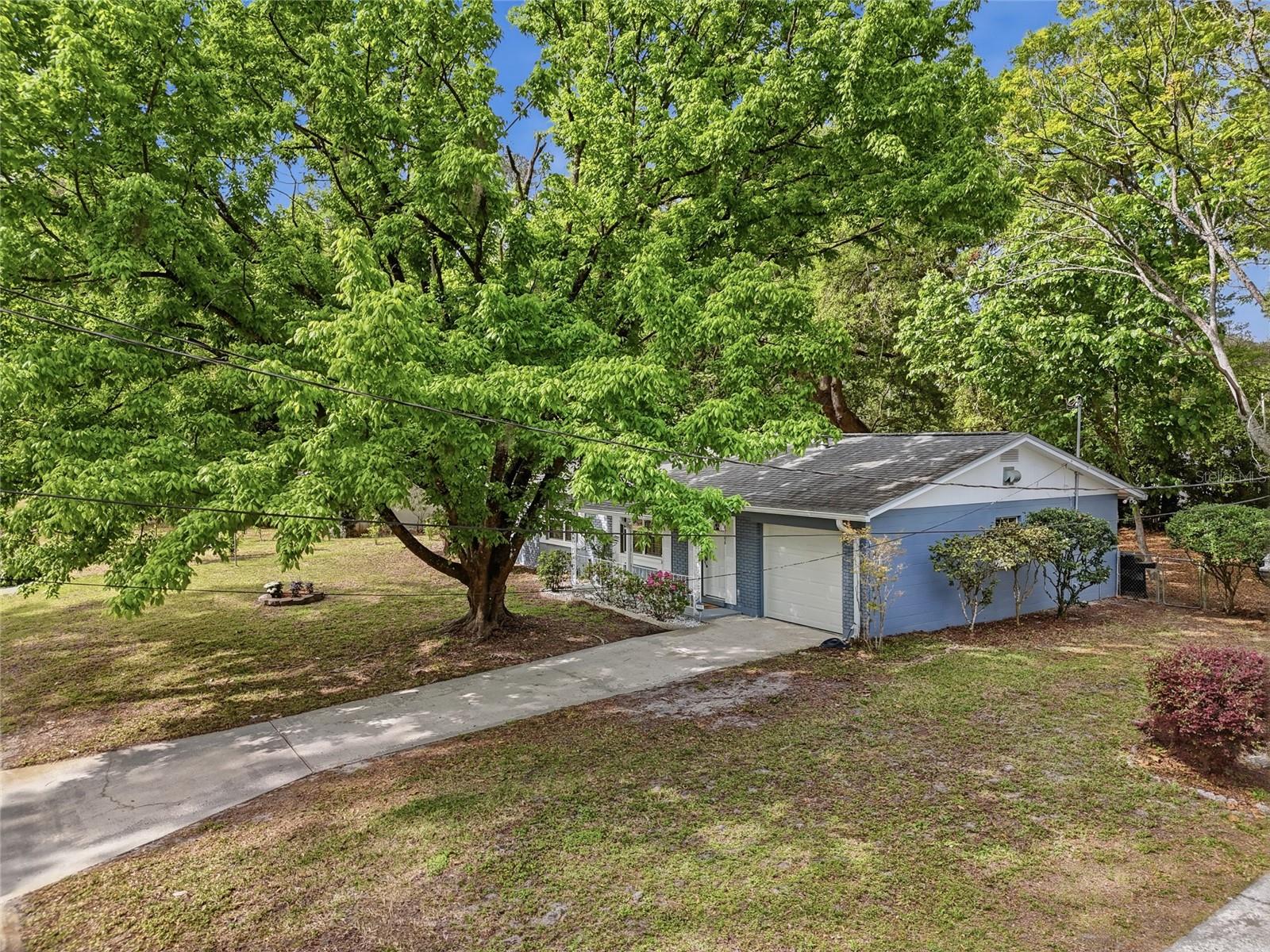 Image 27 of 32 For 4706 28th Terrace