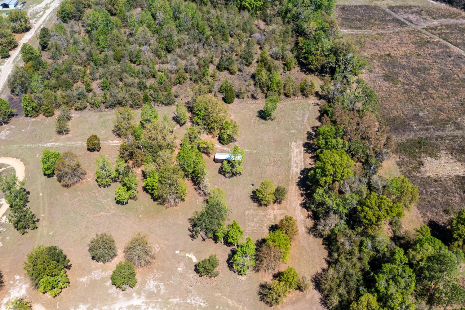 Listing photo id 9 for 203 Pigeon Court