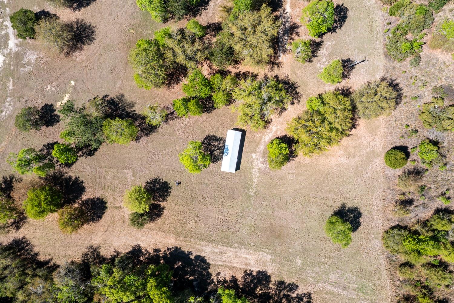 Listing photo id 11 for 203 Pigeon Court