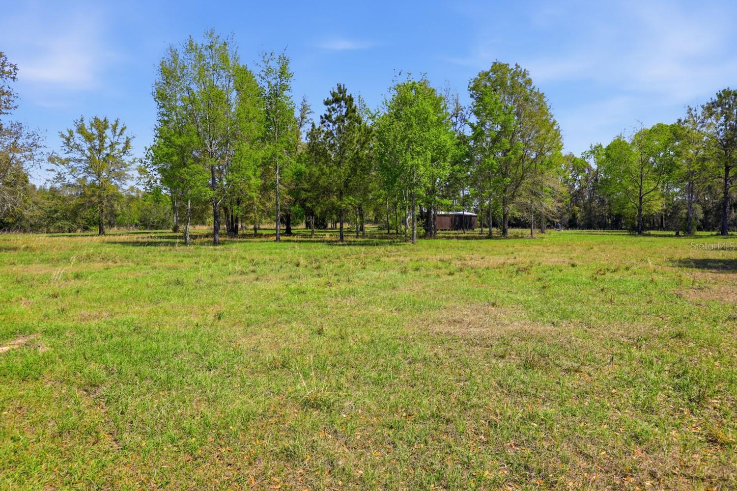 Listing photo id 12 for 203 Pigeon Court