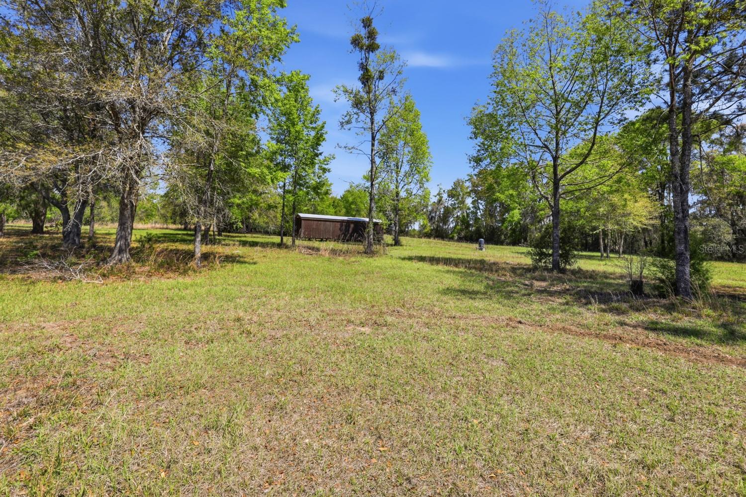 Listing photo id 13 for 203 Pigeon Court