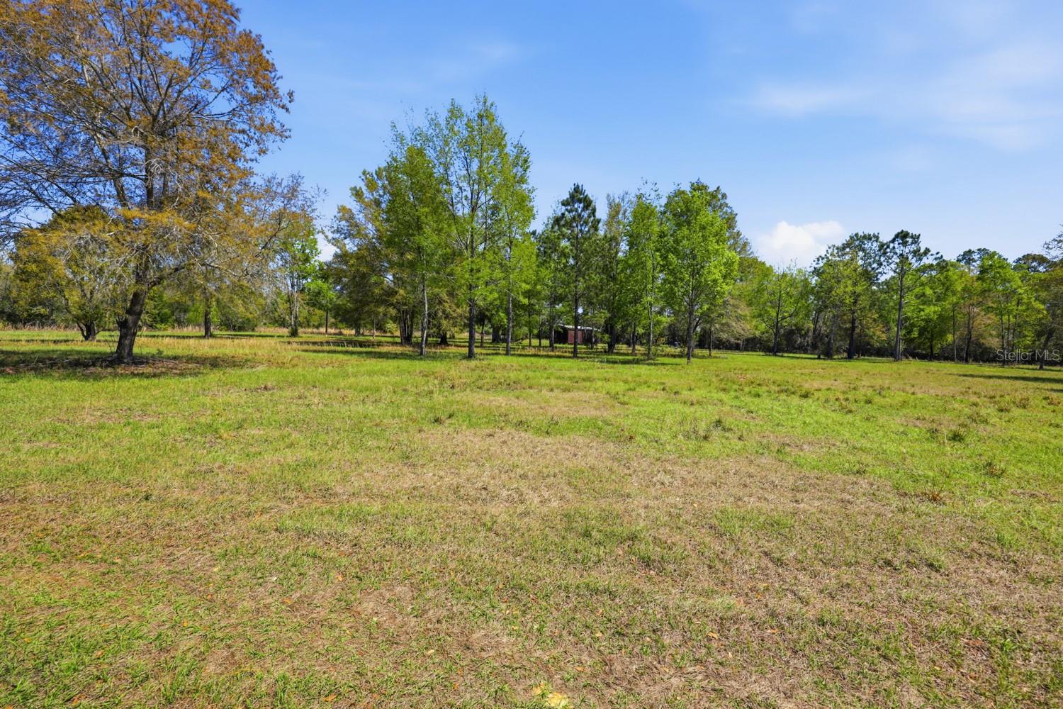 Listing photo id 38 for 203 Pigeon Court