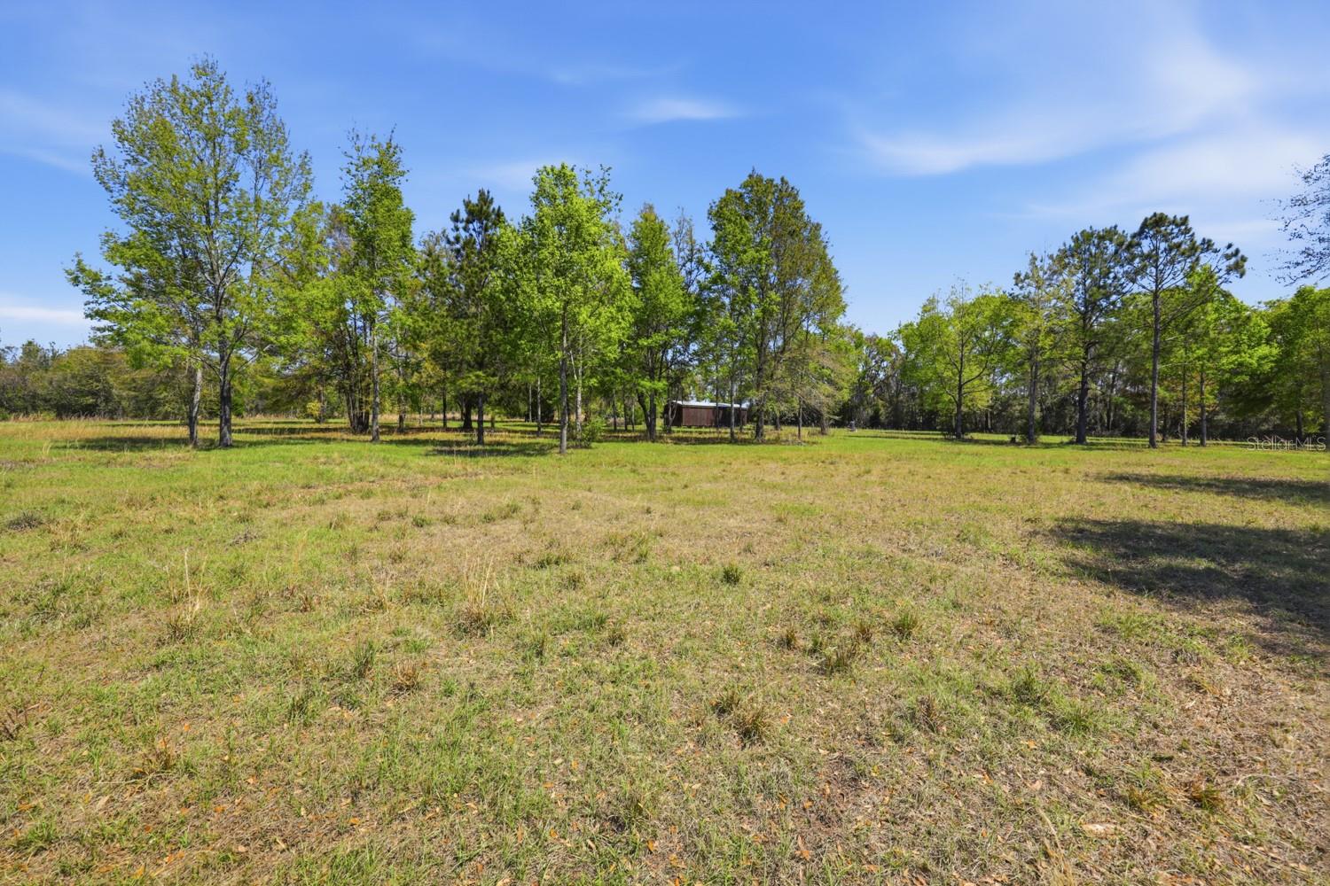 Listing photo id 39 for 203 Pigeon Court