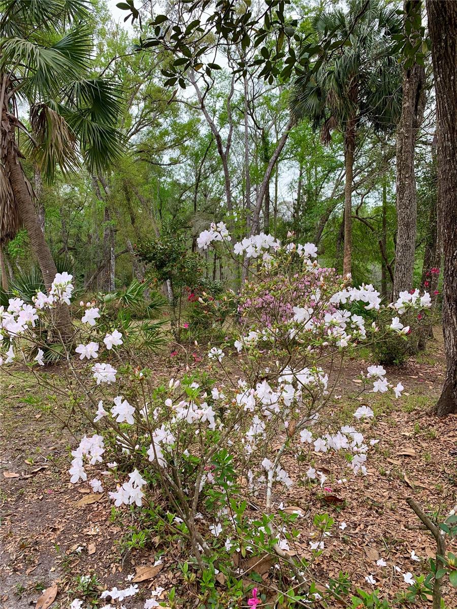 Image 15 of 55 For 11651 127 Lane