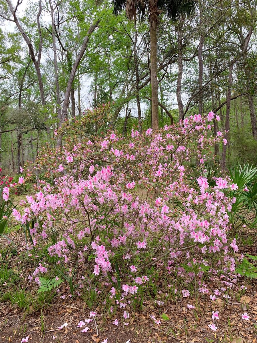 Image 16 of 55 For 11651 127 Lane