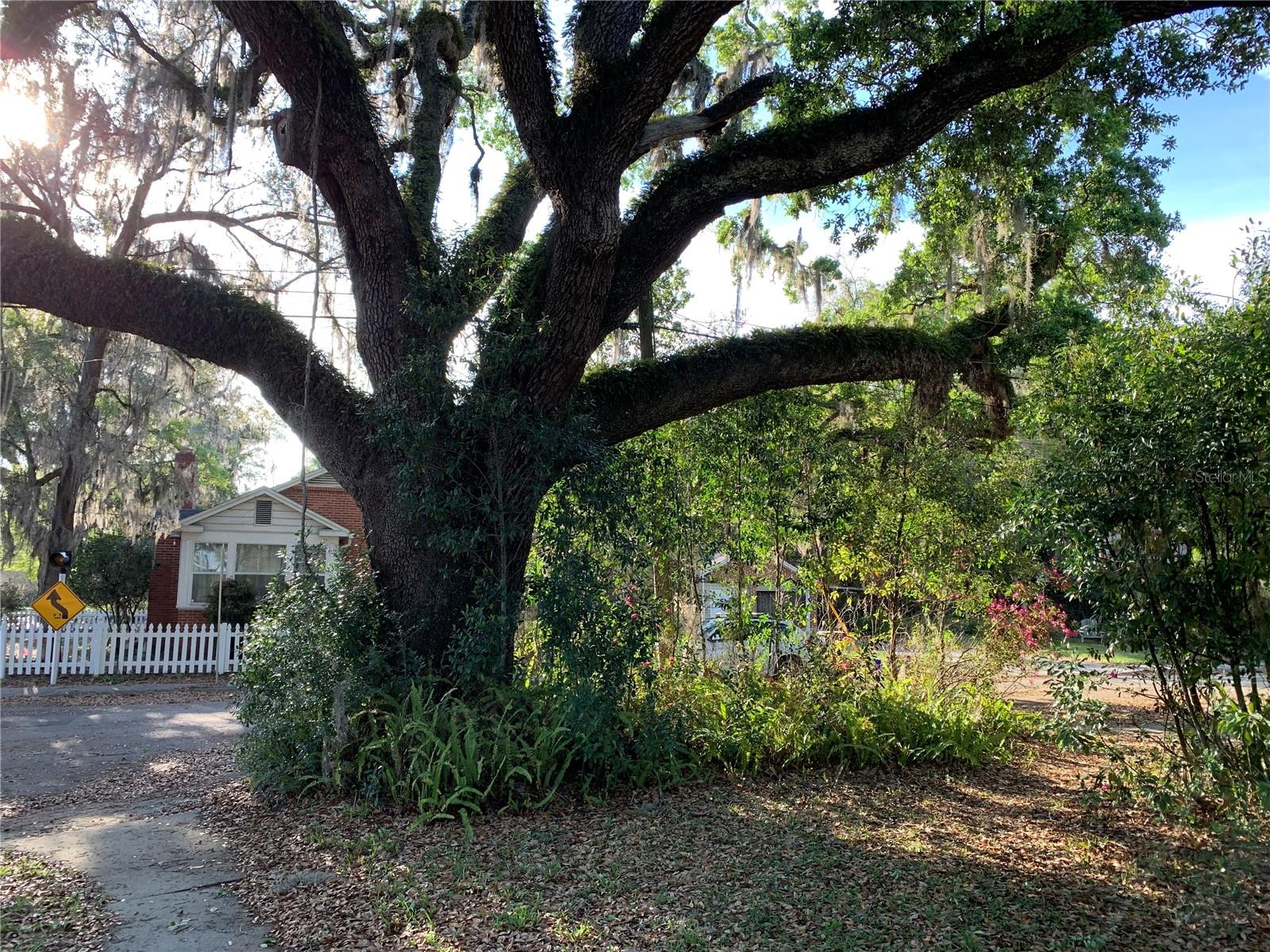 Image 4 of 5 For 606 8th Avenue