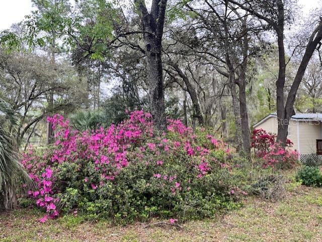 Image 34 of 34 For 14890 20th Street