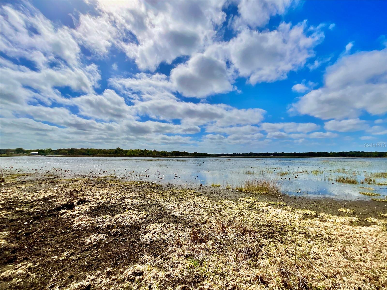 Image 27 of 36 For 1837 State Road 20