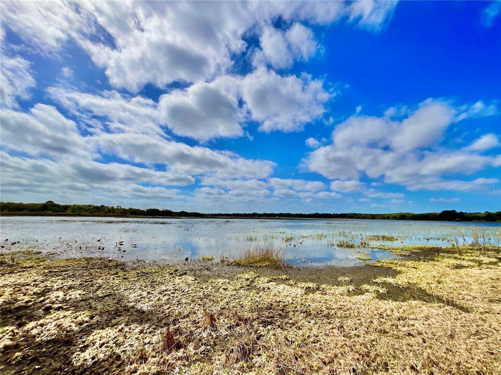 Image 28 of 36 For 1837 State Road 20