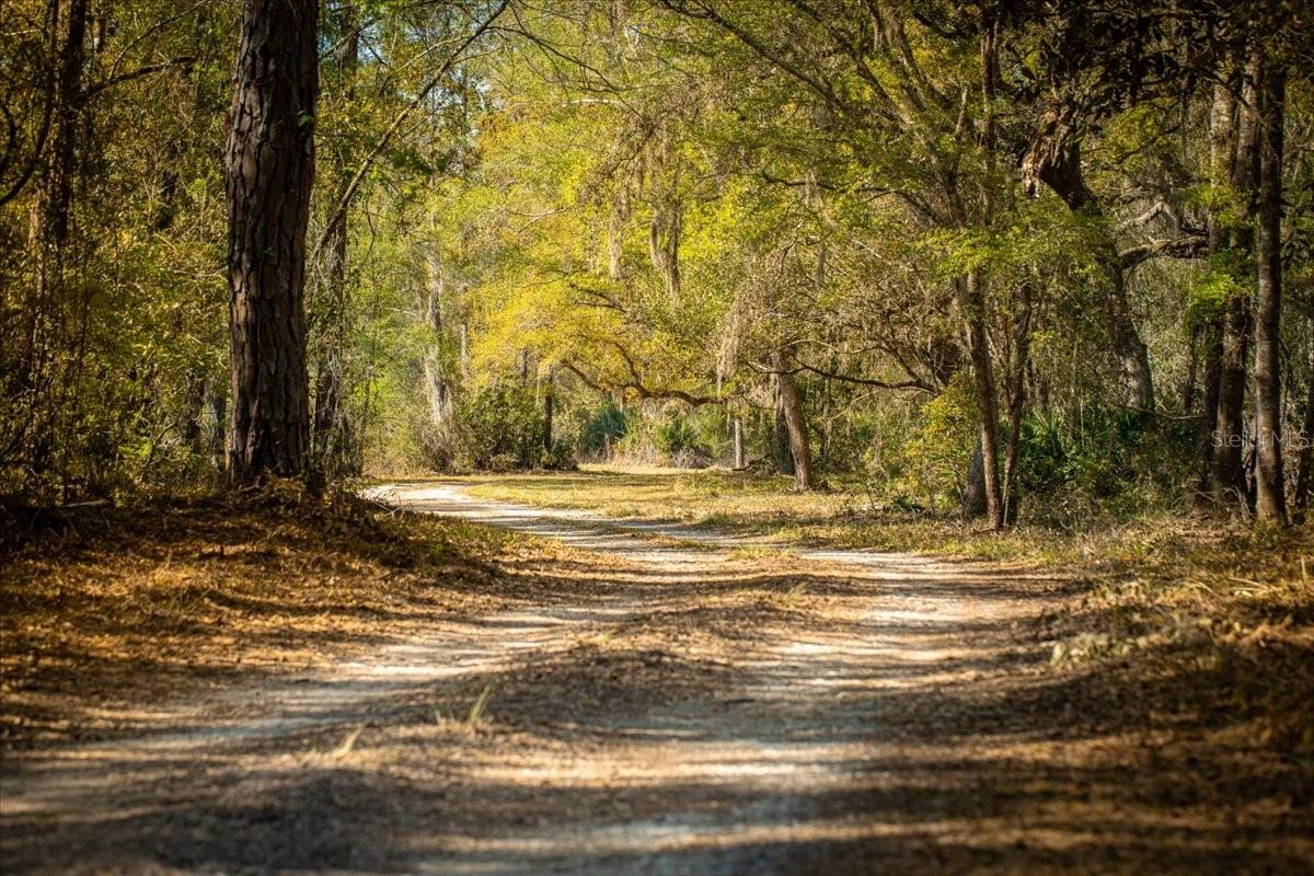 Image 6 of 54 For 957 354th Avenue