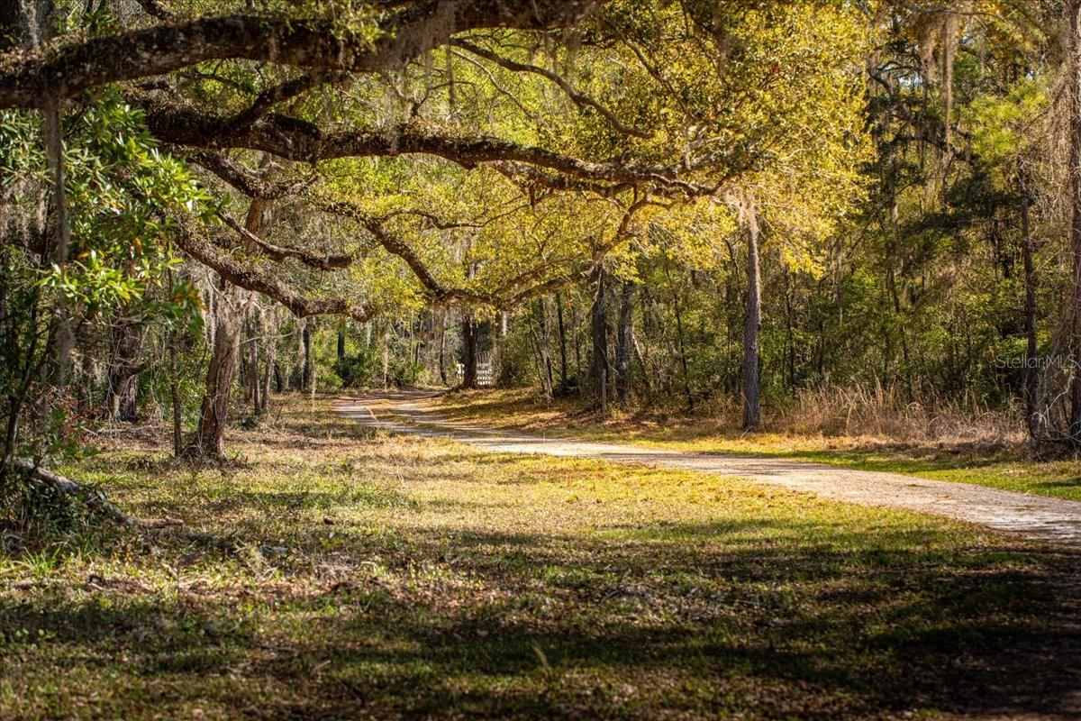 Image 7 of 54 For 957 354th Avenue