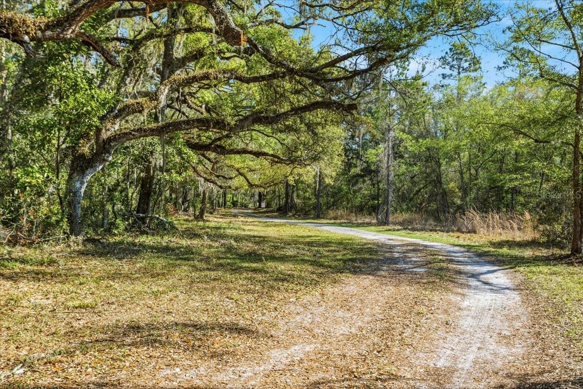 Image 8 of 54 For 957 354th Avenue