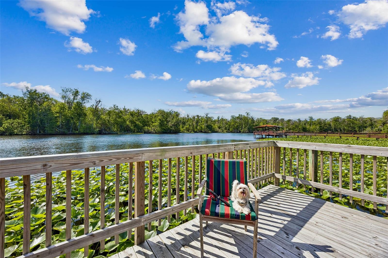 Image 7 of 40 For 334 Paradise Circle