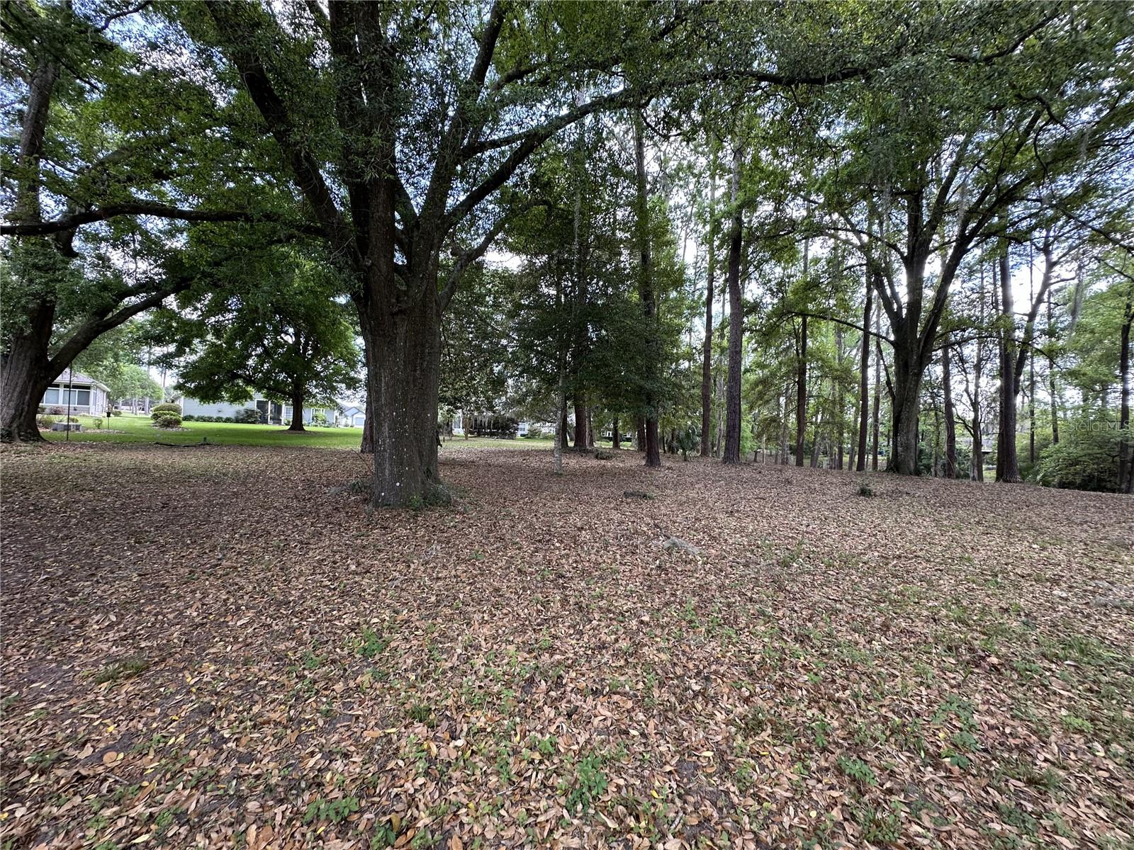 Image 18 of 38 For 6617 114th Lane 6617