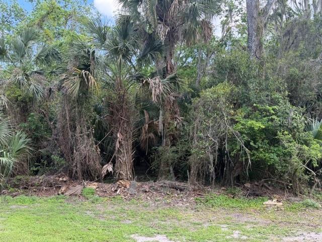 Image 5 of 5 For  Cr 234  