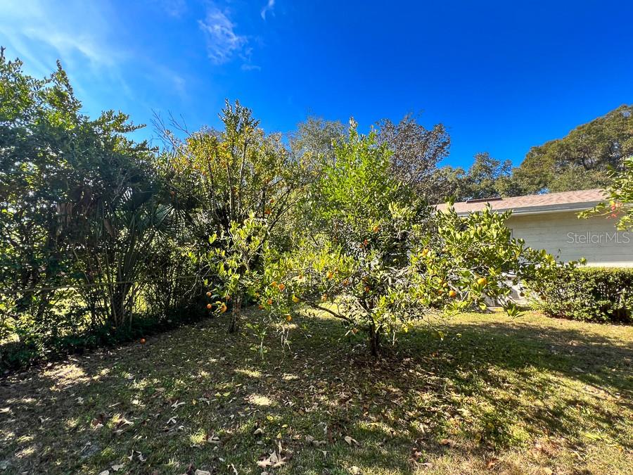 Image 34 of 36 For 1901 36th Drive