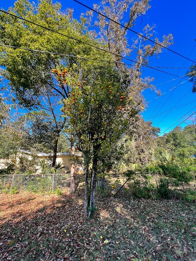 Image 36 of 36 For 1901 36th Drive