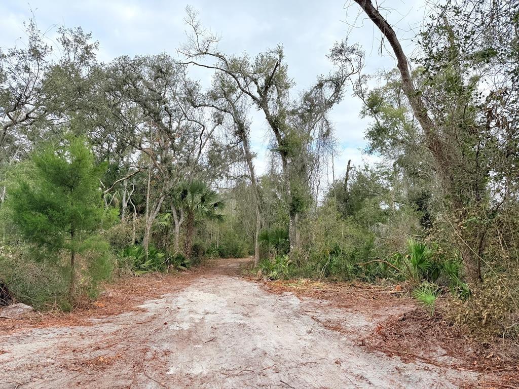 Image 11 of 12 For 445 544th Street