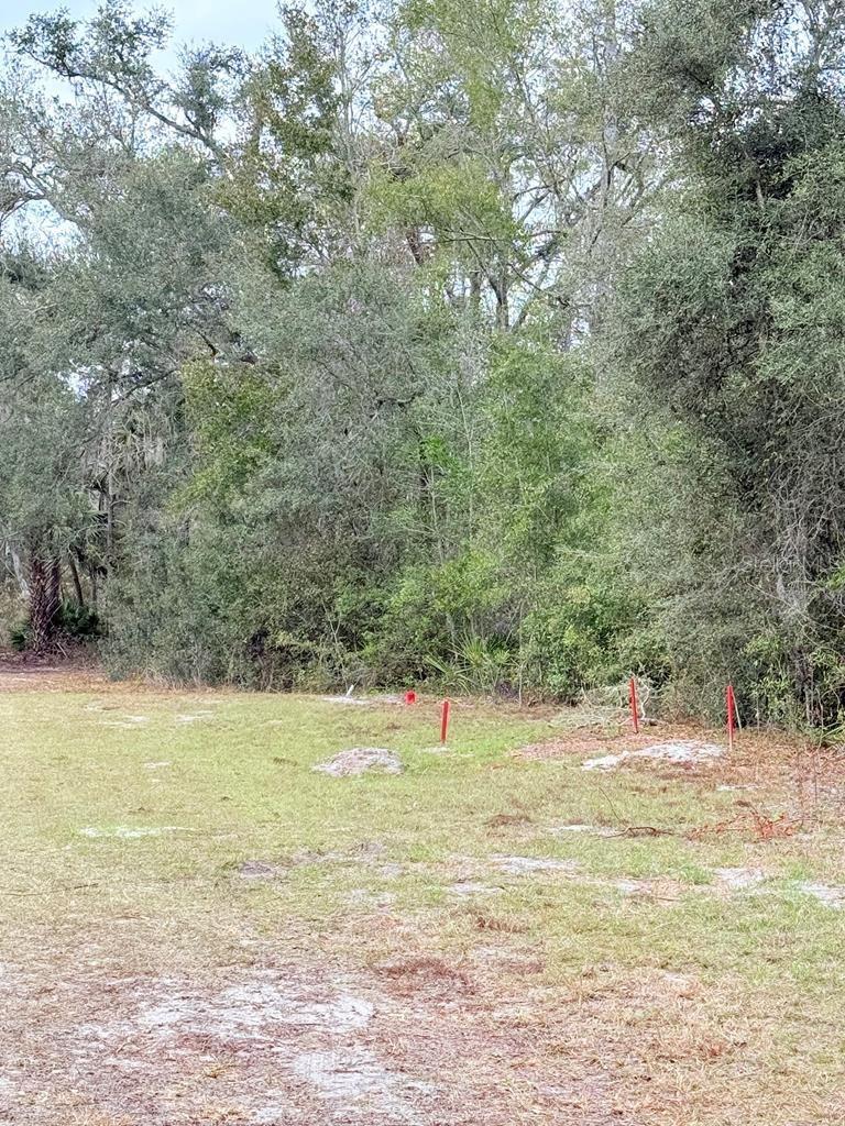 Image 12 of 12 For 445 544th Street