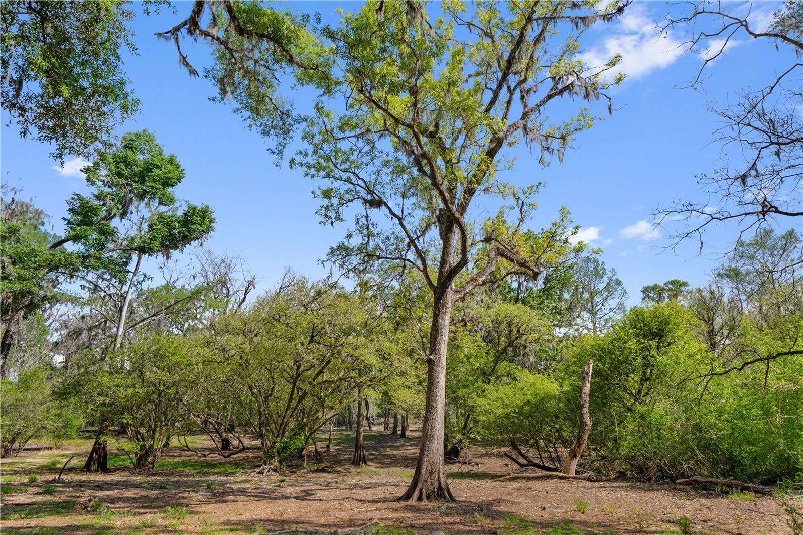 Details for Address Not Provided