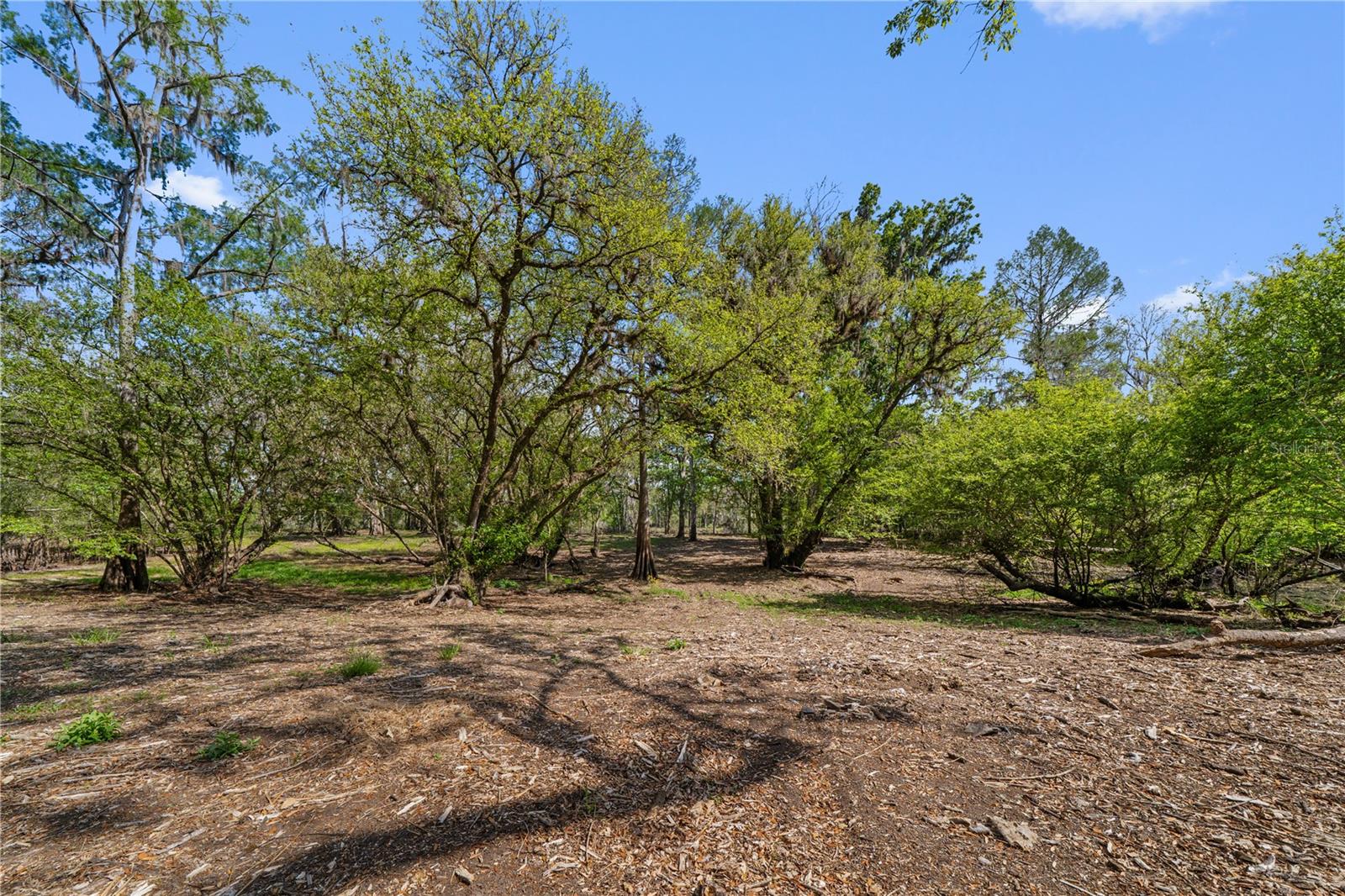 Image 2 of 23 For Address Not Provided