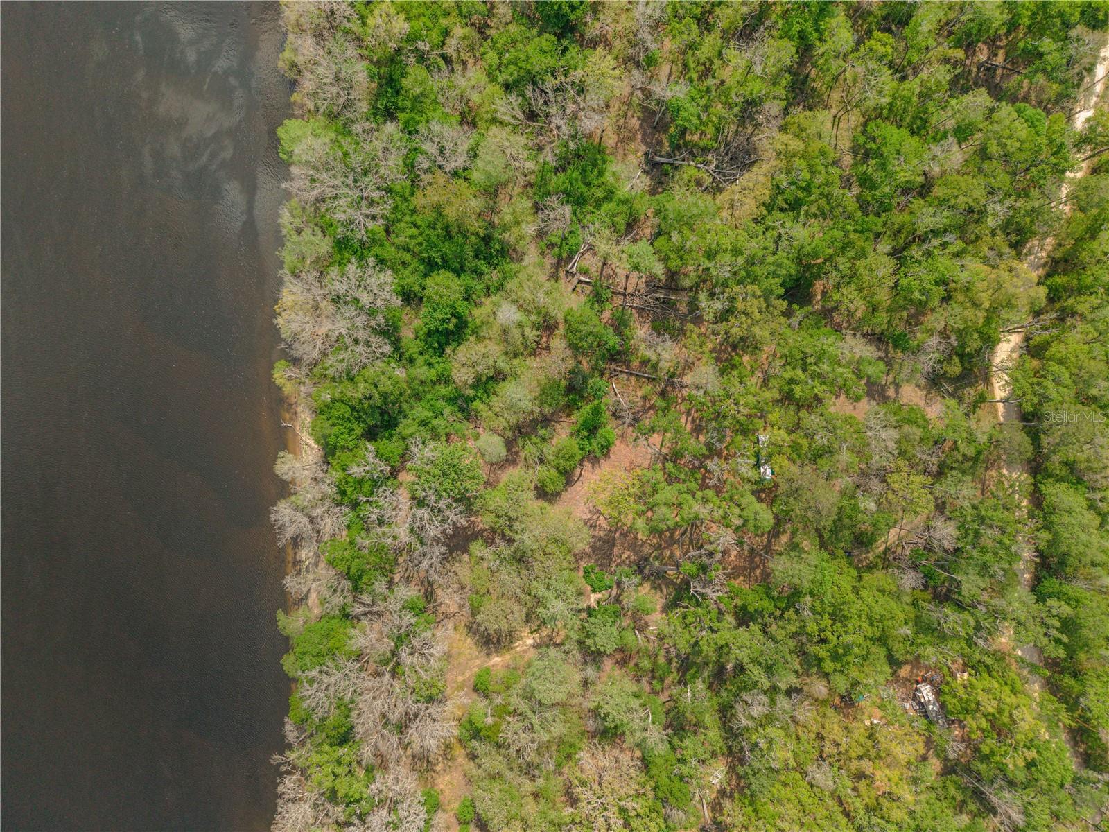 Image 8 of 23 For Address Not Provided