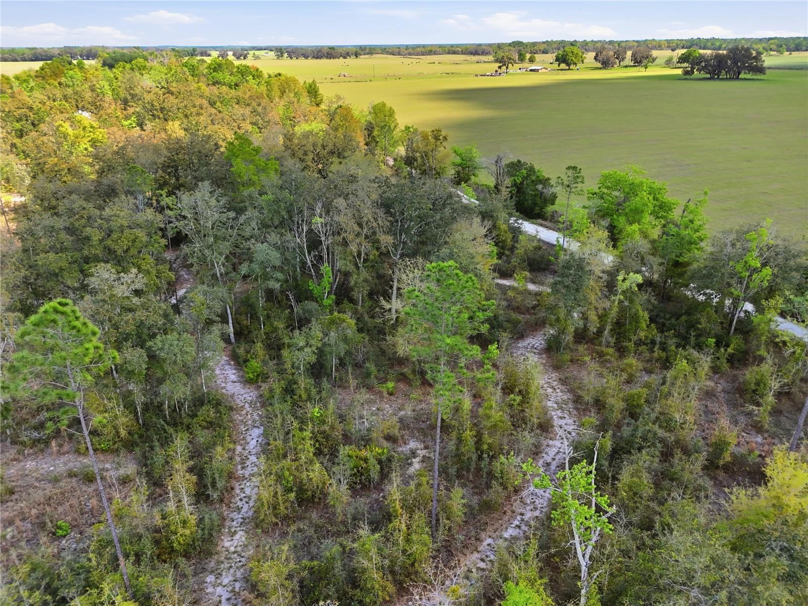 Image 40 of 40 For 29578 63rd Avenue