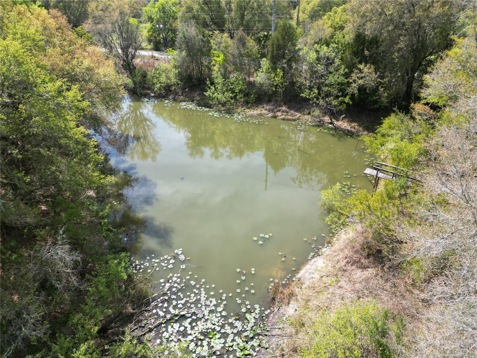 Image 2 of 13 For 3095 County Road 202