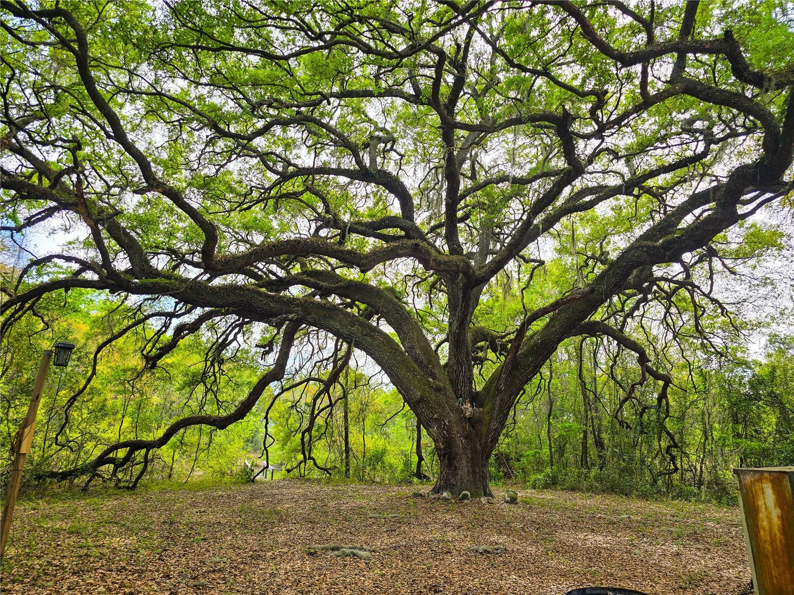 Image 3 of 13 For 3095 County Road 202