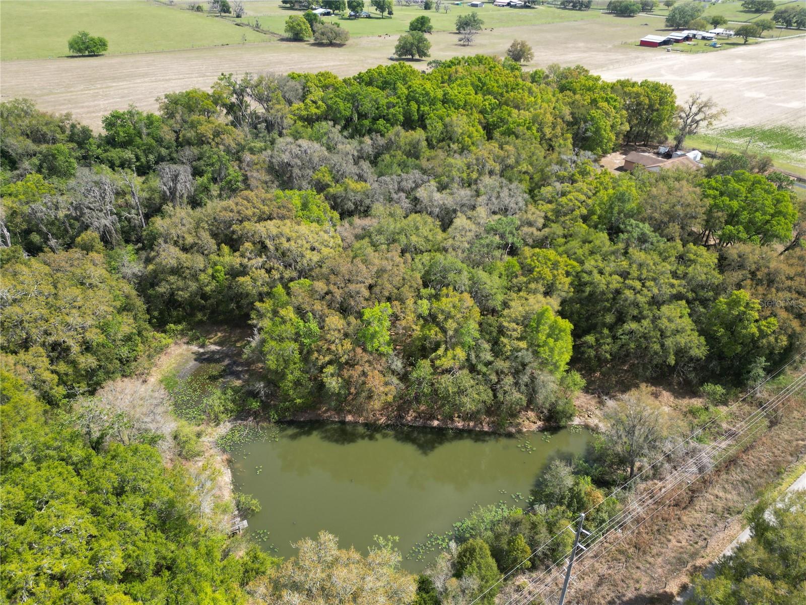Image 6 of 13 For 3095 County Road 202