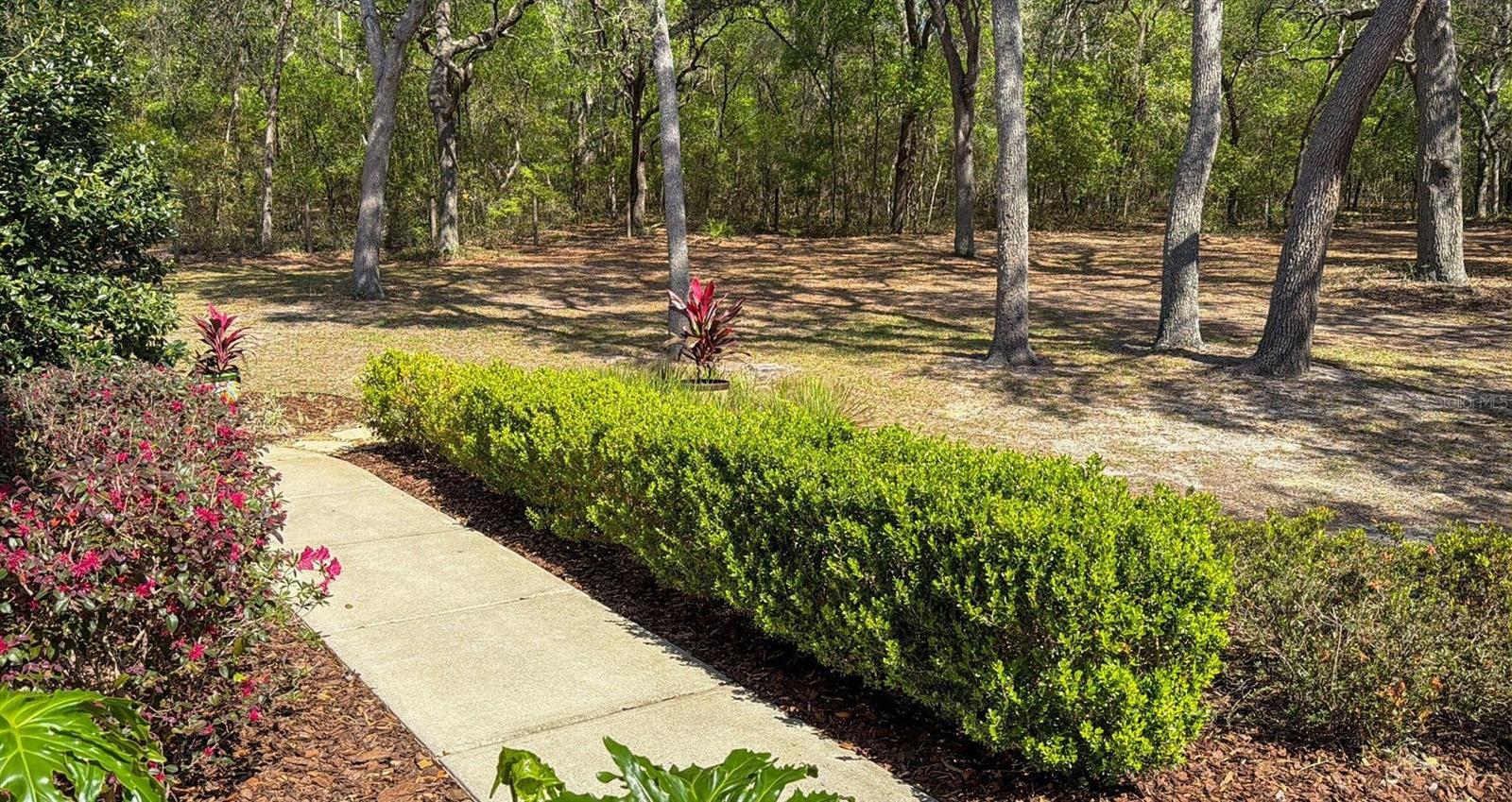 Image 5 of 74 For 103 Deep Lake Trail