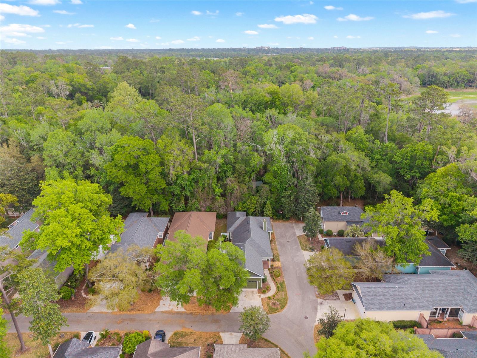 Image 62 of 73 For 91 48th Boulevard 13