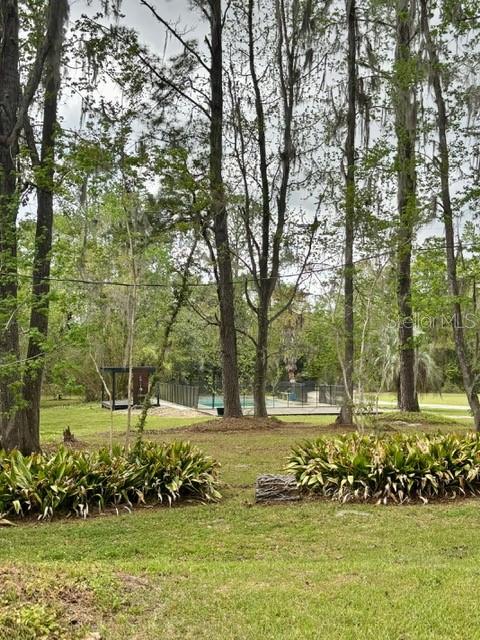 Image 50 of 56 For 18917 County Road 239