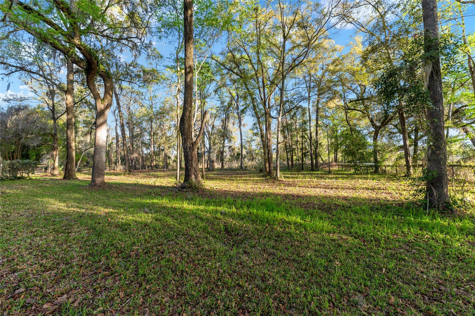 Image 72 of 79 For 14312 41st Avenue