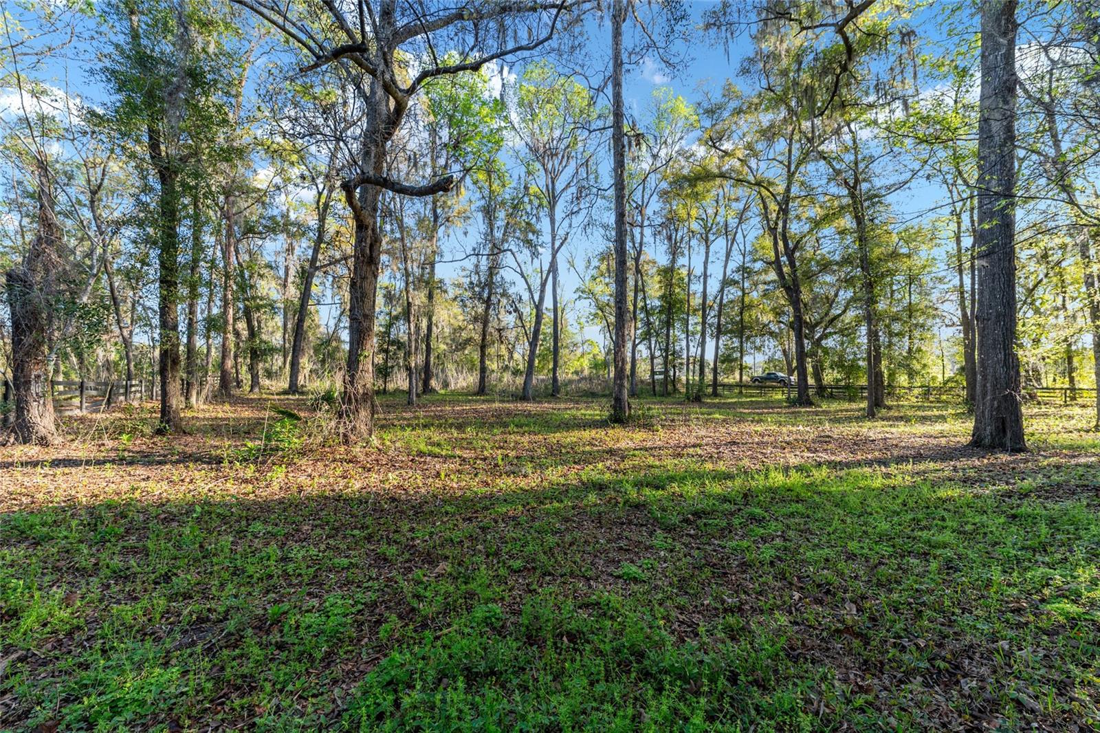 Image 73 of 79 For 14312 41st Avenue