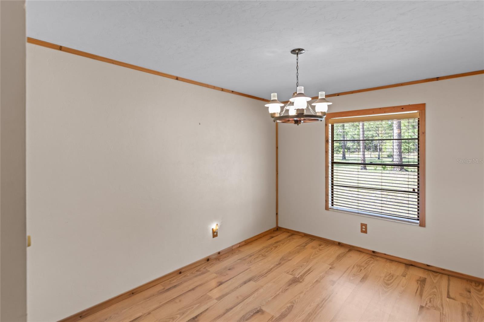 Listing photo id 18 for 13296 County Road 231