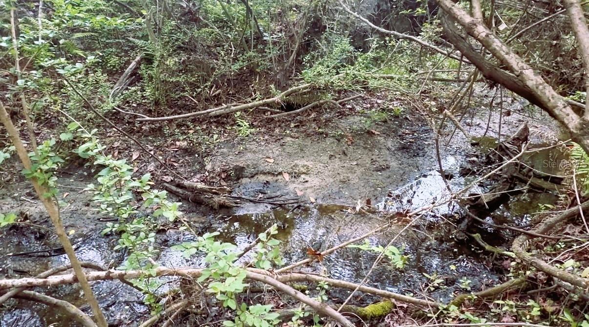 Image 62 of 63 For 10350 Deer Run