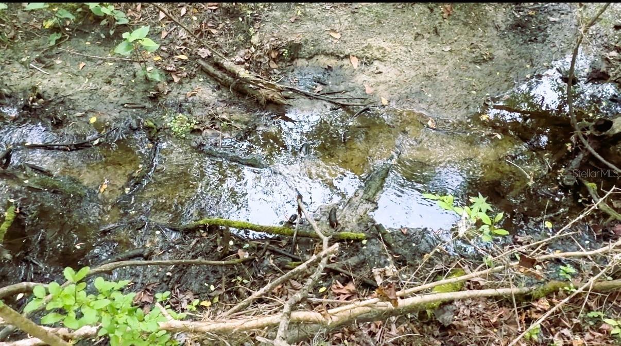 Image 63 of 63 For 10350 Deer Run