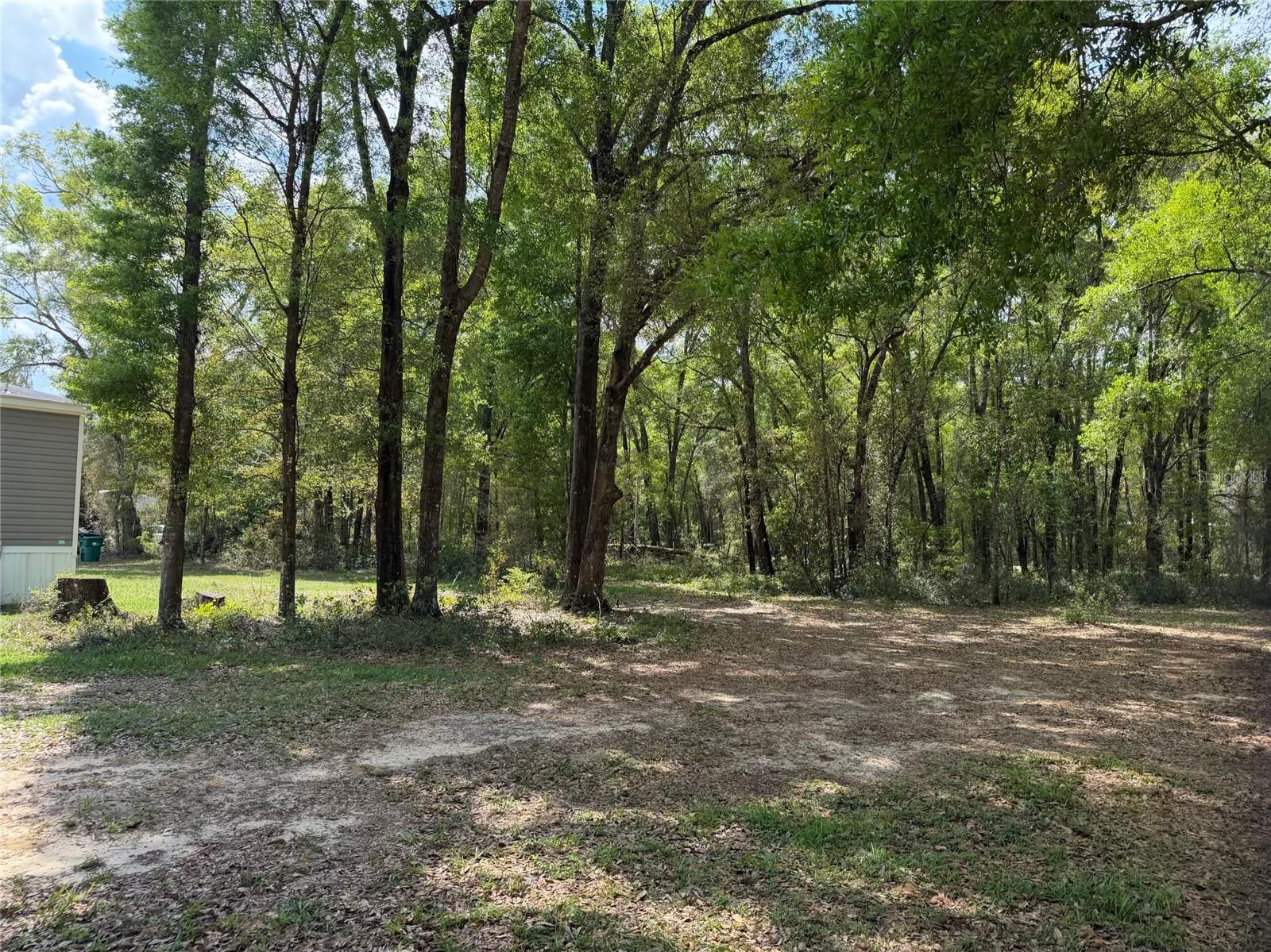 Image 19 of 20 For 4181 Carl Ramm Lane