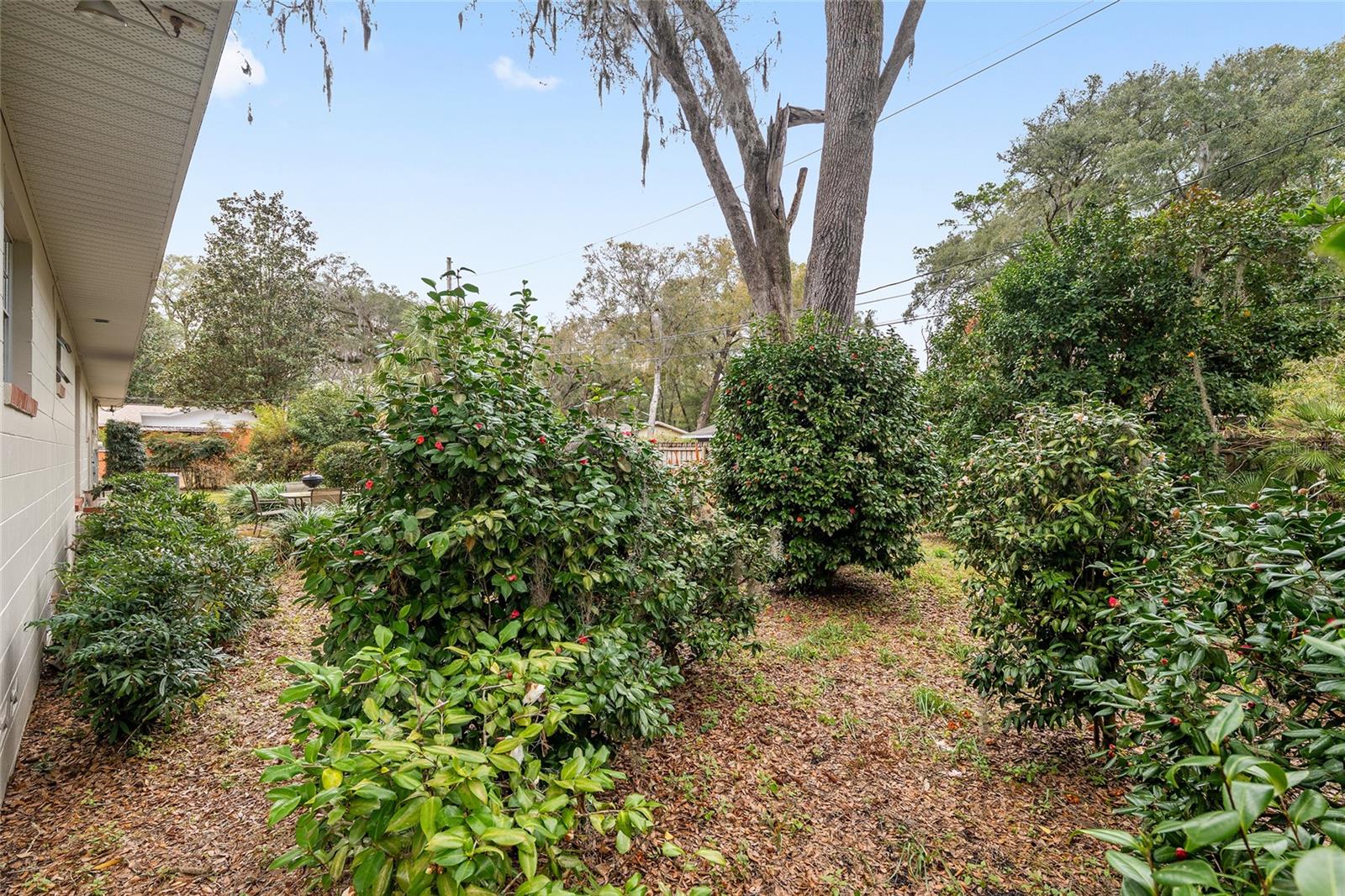 Image 46 of 49 For 3710 22nd Place