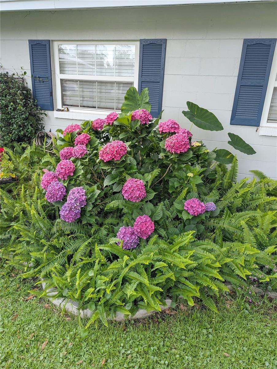 Image 6 of 40 For 228 Oak Hill Street