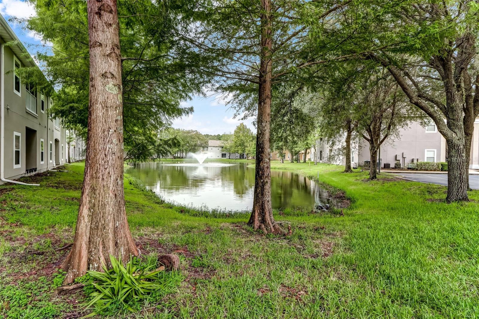 Image 29 of 37 For 6075 Maggies Circle 113