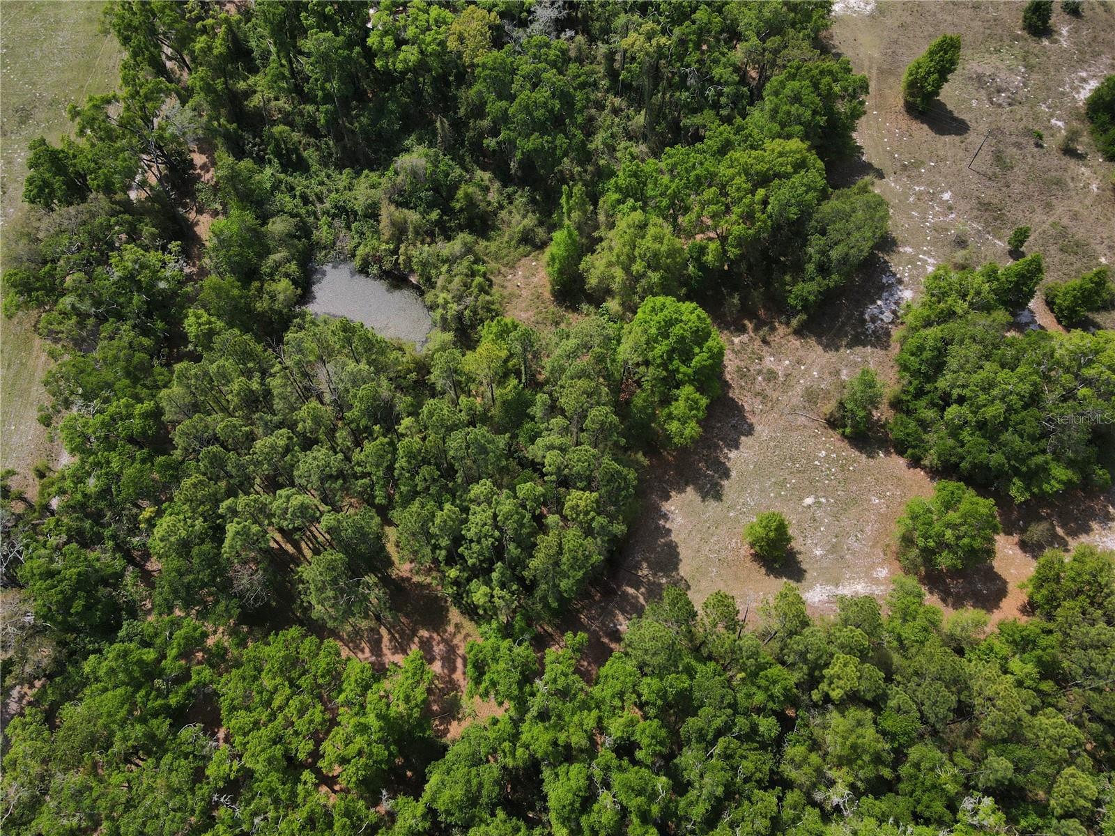 Image 11 of 35 For 7157 120th Street