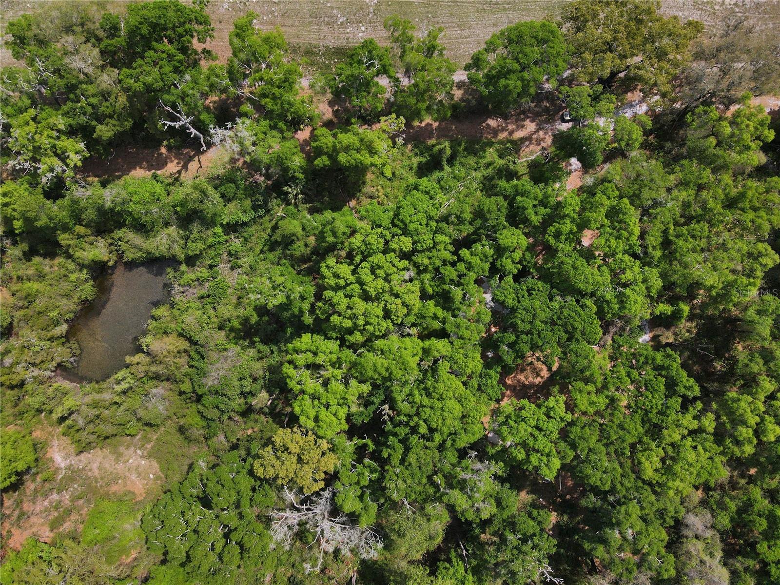 Image 14 of 35 For 7157 120th Street