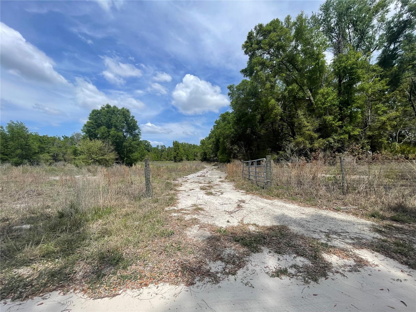 Image 16 of 35 For 7157 120th Street