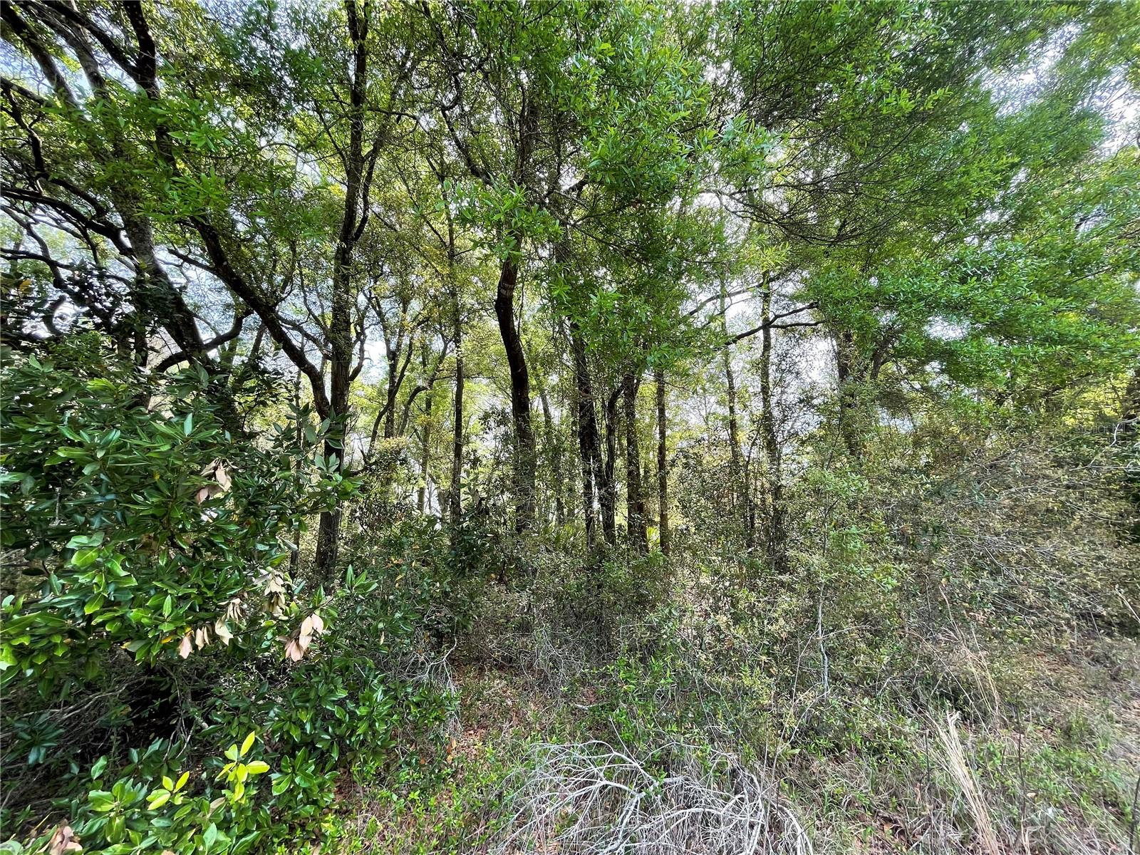 Image 23 of 35 For 7157 120th Street